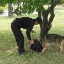 수풀노래연습장 이미지