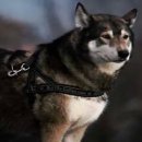 혼밥간편요리 이미지