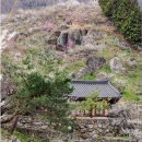 산유화관광농원