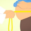 웨스트피지오짐 이미지