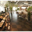 알토하임 이미지