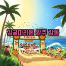 시민운동장진입(서) | 2025 감귤마라톤 완주 후기: 잊지 못할 제주의 추억