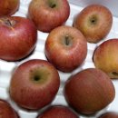 용현농장 이미지