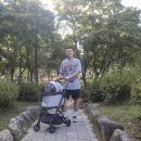 베베도그 | 왓도그캣 포로리 강아지, 고양이 유모차 무료 펫 선물 받는 꿀팁