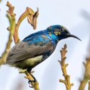 가족건강경락마사지 이미지