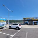 지세포로 이미지