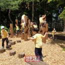 금호산 유아숲체험원 이미지