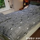 누비하우스1 이미지