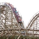 에버랜드 이미지