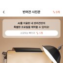 바우동물병원 이미지