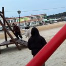 우리들의 경주가 생각나요 이미지