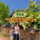 66 | 경북 예천 가볼만한곳 금당실전통마을 숙소, 카페, 식당