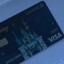 안산세관 | Ep.1 집나가면개고생