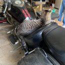 오지랖차수리 이미지