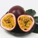 차차차휴게소 이미지