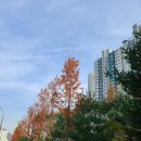 기흥로 116번 이미지