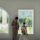 [W]천안 피움 플라워디렉팅 대가없는 내돈내산 후기(+아우라스튜디오)