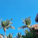 JABA JABA | 2024_여자혼자 발리여행_12일차 길리 짱구 이동 짱구 메디컬 warung jaba 사테 바비