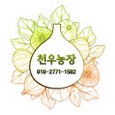 천우농장 이미지