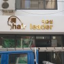 디자인보노 이미지