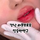 GS25 강남리츠칼튼점 | 강남 입술 문신 라문브로우 후기, 타샵에서 망한 립라인 잔흔까지 살려주신 금손 원장님