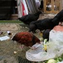 원스농장 이미지