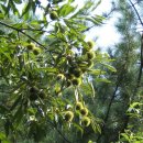 추억저장소 이미지