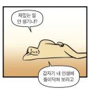 아르카네일 | 잼얘 없냐?