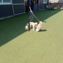 멍스 크로스 이미지