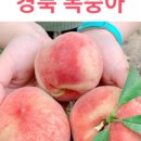 황도축산 이미지