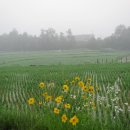 부1리마을회관 이미지