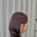 스텔라헤어 이미지