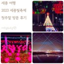 연기면_세종예술고 | 2023 세종 빛 축제 주차장 푸드트럭 프로그램 이응다리 정보