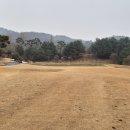 소피아그린 이미지