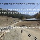 국유림속 차량진입 100평 1천5백 홍천 이미지