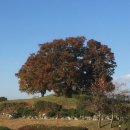 양평배수장 이미지