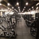 뉴바디휘트니스