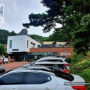 우즈베이커리포레스트