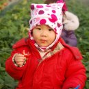 용범농장 이미지