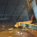 동양약국 | 상하이여행 4박 5일 일정, 필수어플, 준비물, 이스타항공 상해행 ZE871편 탑승 후기