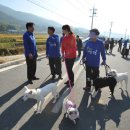 개판살판 이미지