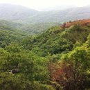 광교산생태학교 Daum카페