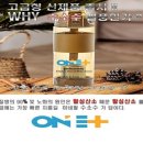 제너두시스템주 이미지