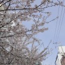 청호탕 | 서울) 요즘 핫플 듀펠센터 + 카페 파운틴! 장안동의 목욕탕을 개조한 복합 문화 공간