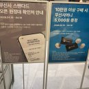 예스생활용품백화점 | 광주 신세계백화점 무신사스탠다드 케이스티파이 오픈이벤트 진행중