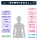 서울메디케어 이미지