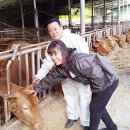 종신농장 이미지