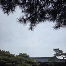 오빠찻집 | 대구 칠순잔치/돌잔치 신라궁, 카페 백년찻집