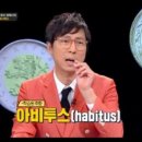하비투스(Habitus) 이미지