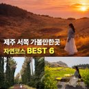 신창농장 | 제주 서쪽 가볼만한곳 BEST6, 조용한 자연 여행 코스
